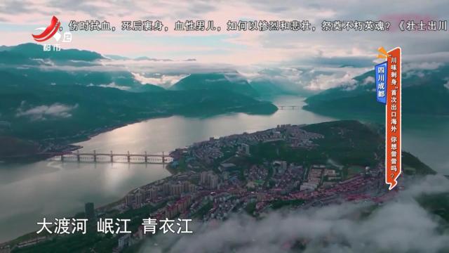 地宝当家20250111