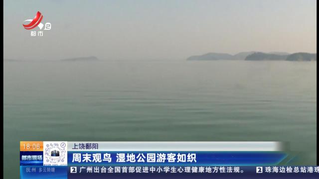 上饶鄱阳：周末观鸟 湿地公园游客如织