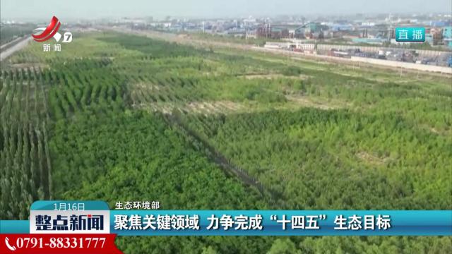 整点新闻20250116 12：00