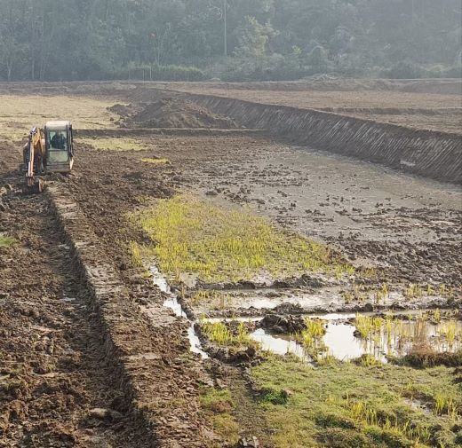 宜春市袁州区柏木乡：推进高标准农田建设 巩固粮食安全