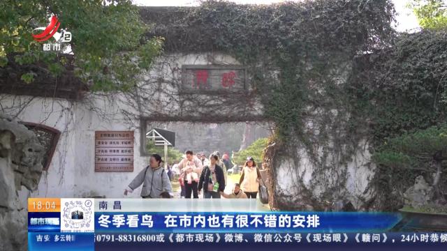 南昌：冬季看鸟 在市内也有很不错的安排