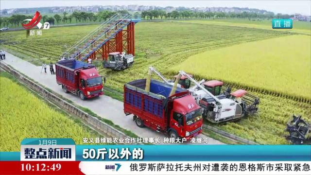 整点新闻20250109 10：00