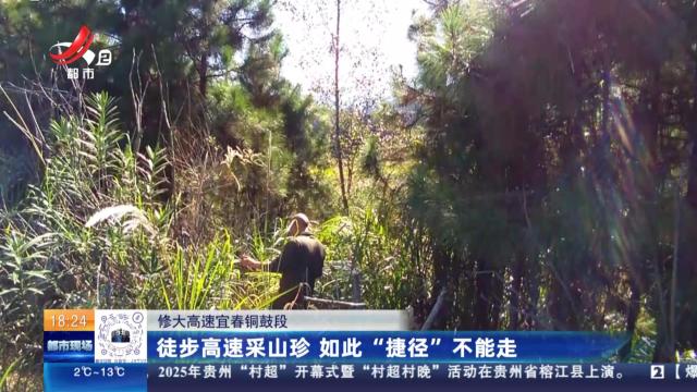 修大高速宜春铜鼓段：徒步高速采山珍 如此“捷径”不能走
