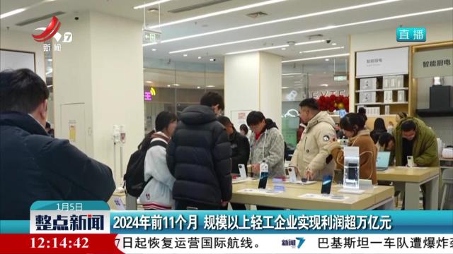 2024年前11个月 规模以上轻工企业实现利润超万亿元