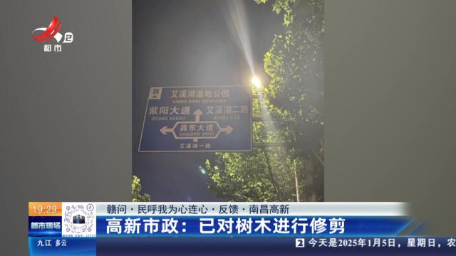 【赣问·民呼我为心连心·反馈·南昌高新】高新市政：已对树木进行修剪