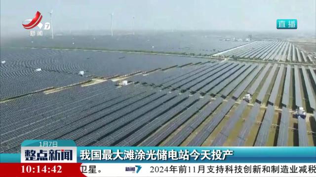 我国最大滩涂光储电站今天投产