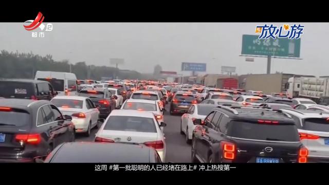 都市放心游·放心游指南20250126