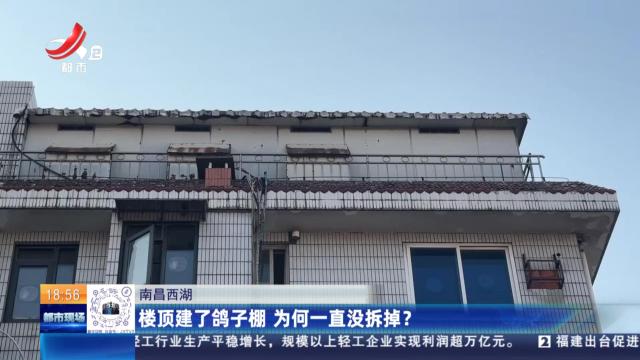 南昌西湖：楼顶建了鸽子棚 为何一直没拆掉？