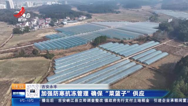 吉安永丰：加强防寒抗冻管理 确保“菜篮子”供应