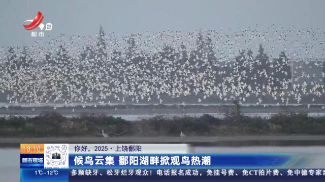 【你好，2025】上饶鄱阳：候鸟云集 鄱阳湖畔掀观鸟热潮