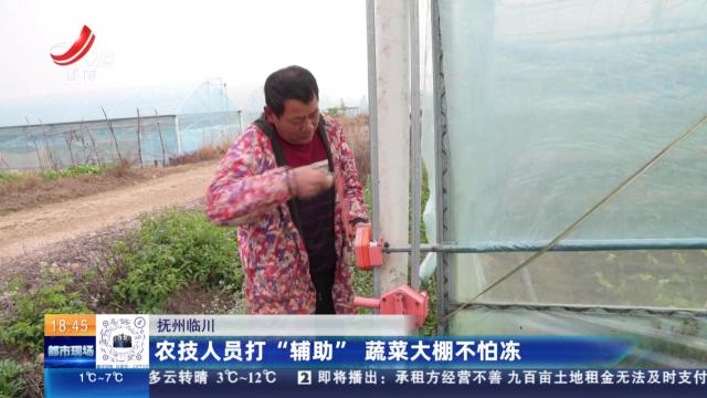 抚州临川：农技人员打“辅助” 蔬菜大棚不怕冻