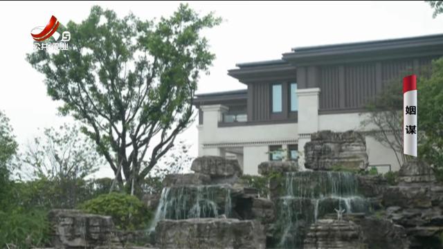 乡村栏目剧场20250109 姻谋