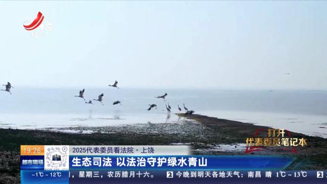 【2025代表委员看法院】上饶：生态司法 以法治守护绿水青山