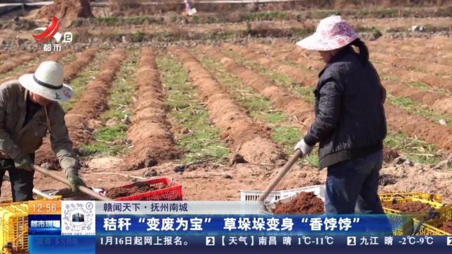 【赣闻天下】抚州南城：秸杆“变废为宝” 草垛垛变身“香饽饽”