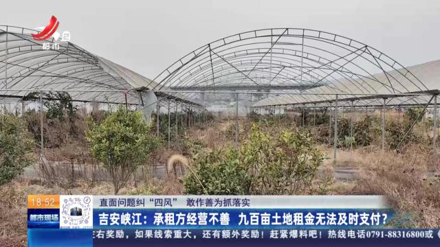 【直面问题纠“四风” 敢作善为抓落实】吉安峡江：承租方经营不善 九百亩土地租金无法及时支付？