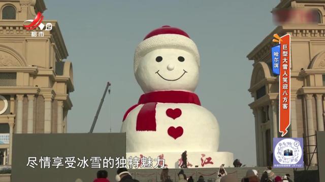地宝当家20250114
