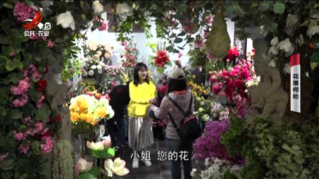 乡村栏目剧场20250104 花落何处