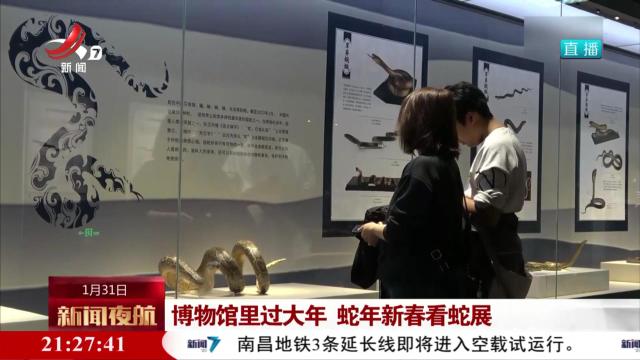 博物馆里过大年 蛇年新春看蛇展
