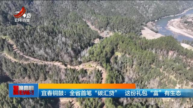 宜春铜鼓：全省首笔“碳汇贷” 这份礼包“富”有生态