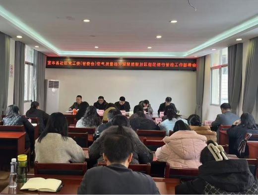 宜丰县社区党工委：城区网格联动“排雷” 烟花监管全力“守安”