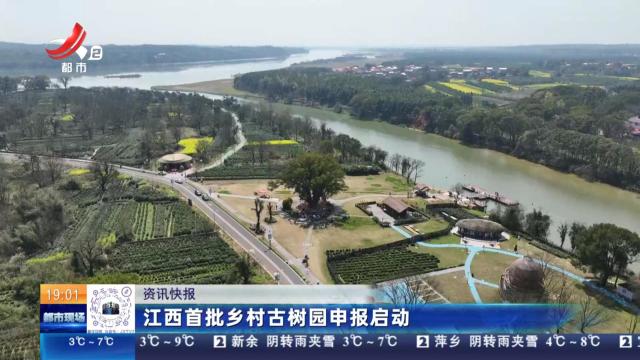 江西首批乡村古树园申报启动
