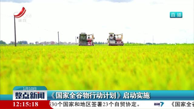 《国家全谷物行动计划》启动实施