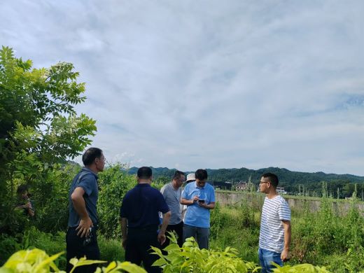 江西万载：薄壳山核桃助力乡村振兴