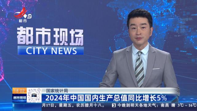 国家统计局：2024年中国国内生产总值同比增长5%