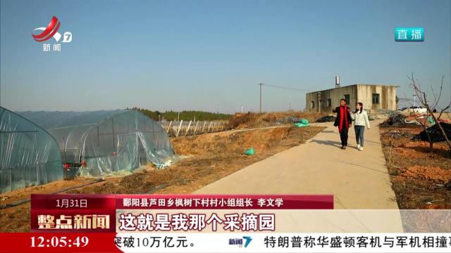 枫树下村看“村晚” 满满幸福感