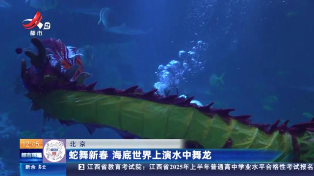 北京：蛇舞新春 海底世界上演水中舞龙
