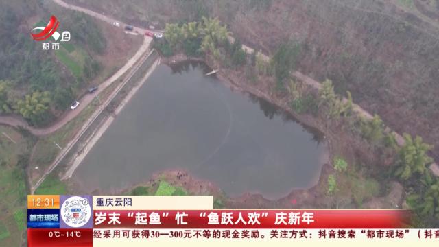 都市现场·午间版20250129
