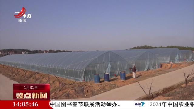 整点新闻20250131 14：00