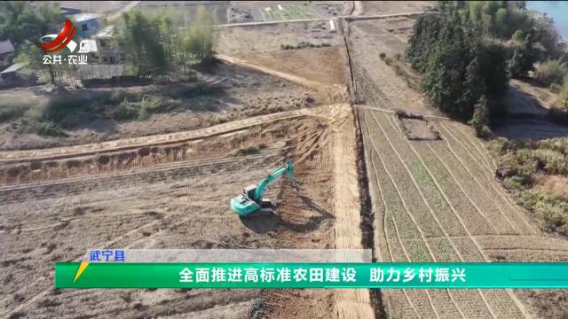 三农头条20250103