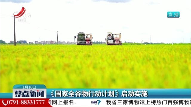 《国家全谷物行动计划》启动实施