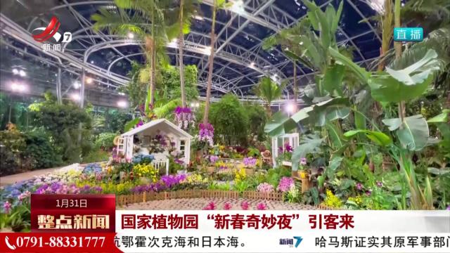 国家植物园“新春奇妙夜”引客来