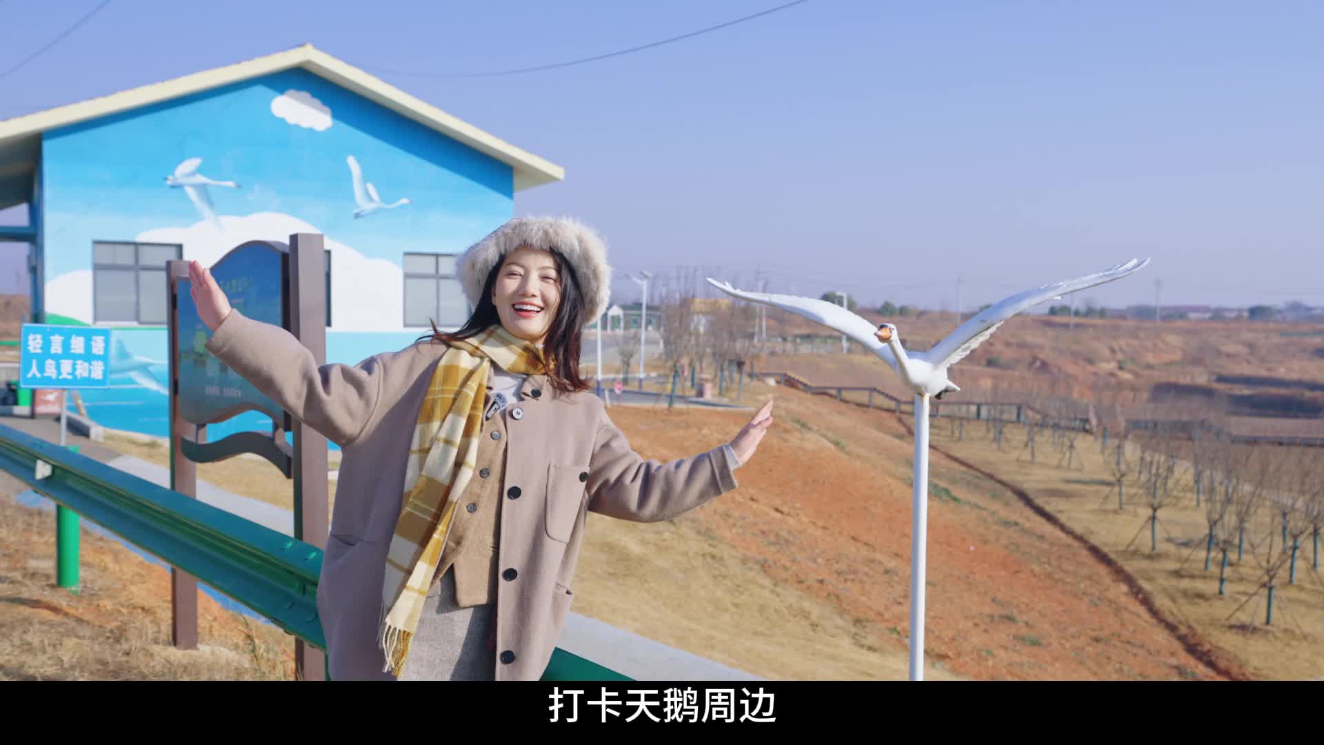 【与江西的100次乡遇】进贤·天鹅小镇