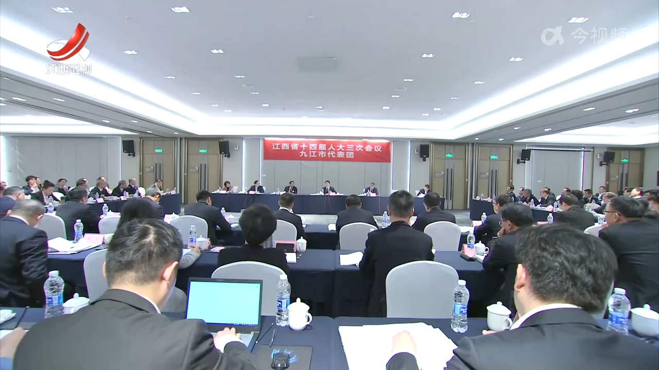 【鼓足干劲 奋勇争先】叶建春参加九江市代表团审议