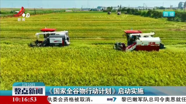 《国家全谷物行动计划》启动实施