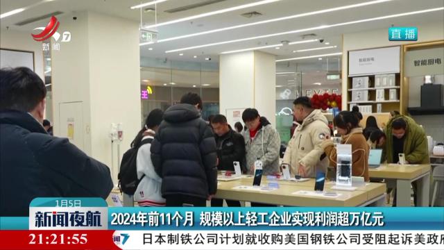 2024年前11个月 规模以上轻工企业实现利润超万亿元