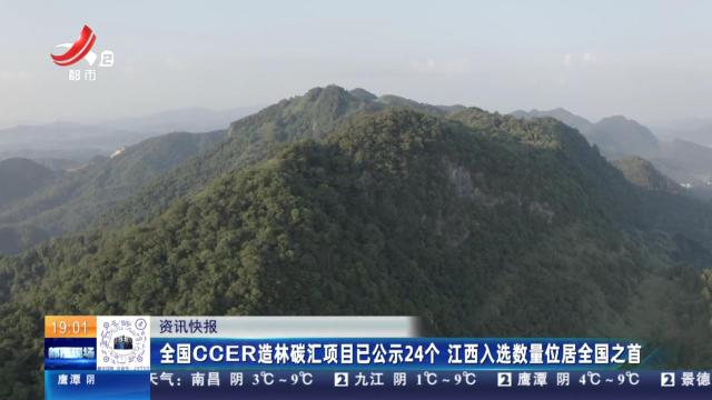 全国CCER造林碳汇项目已公示24个 江西入选数量位居全国之首