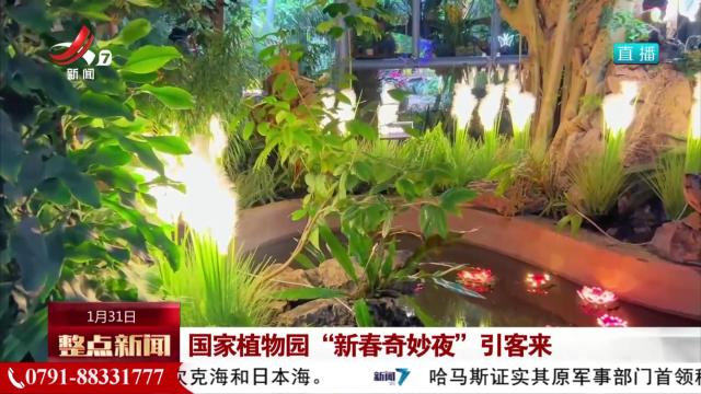 国家植物园“新春奇妙夜”引客来