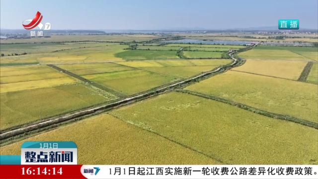 整点新闻20250101 16:00