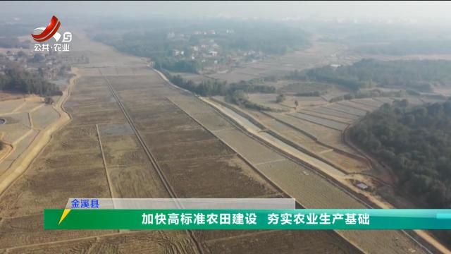 三农头条20250104