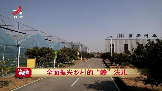 社会传真20250119 AI看两会：全面振兴乡村的“赣”法儿