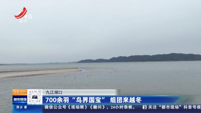 都市现场20250112