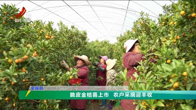 三农头条20250112