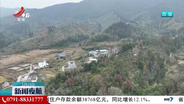多举措齐发力 筑牢森林“防火墙”