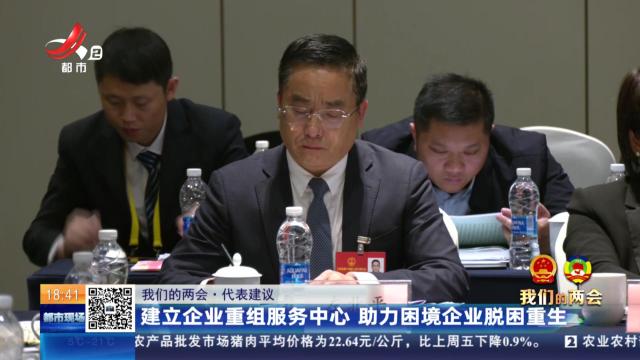 【我们的两会·代表建议】建立企业重组服务中心 助力困境企业脱困重生