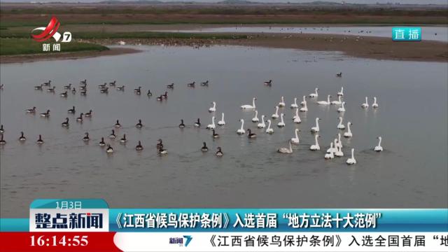《江西省候鸟保护条例》入选首届“地方立法十大范例”