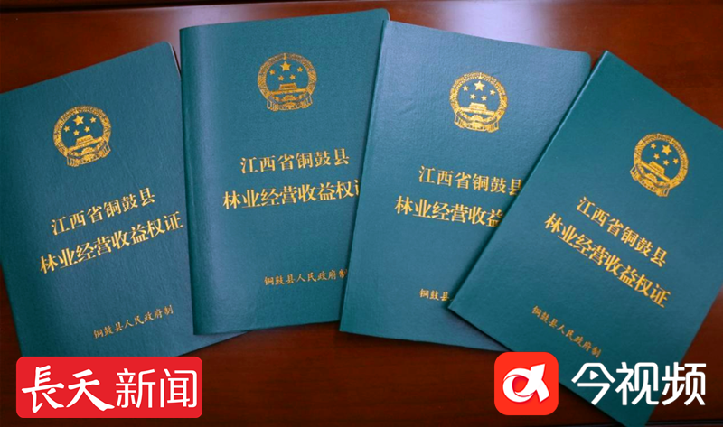江西首本林业碳汇经营收益权证颁发